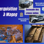 Perquisition chez un trafiquant de cannabis
